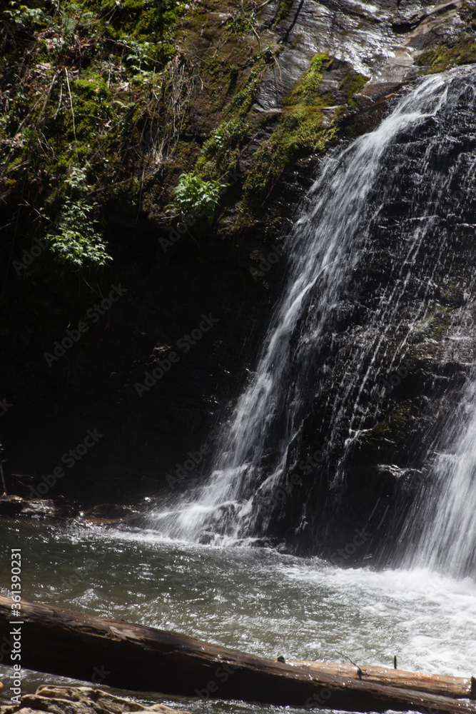 Canvas Prints waterfall outdoors in nature