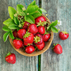 Heap of fresh strawberries in a basket bowl on rustic wooden background. Healthy eating and diet food concept.