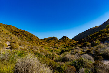 Valle de vegetación seca entre montañas en un día azul