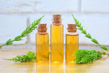 horsetai essential oil in  beautiful bottle on table