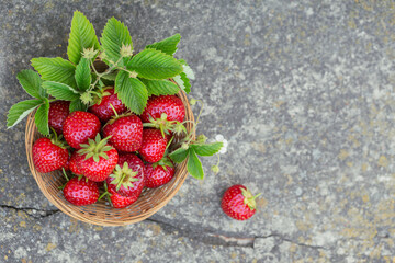 Fresh strawberries in a basket on rustic concret background top view. Healthy food on grey table mockup. Delicious, sweet, juicy and ripe berry bacgroung with copy space