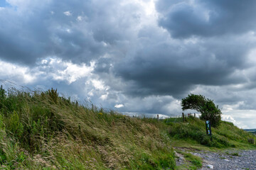 Dark clouds gathering over the path leading to Budle bay in Northumberland