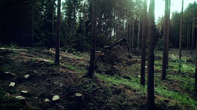 Harvester working in forest