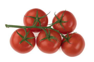 Branch with five tomatoes on a white background