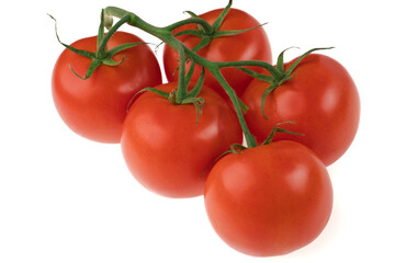 Branch with five tomatoes on a white background