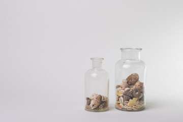 Seashells in a jar on white background for science and geology