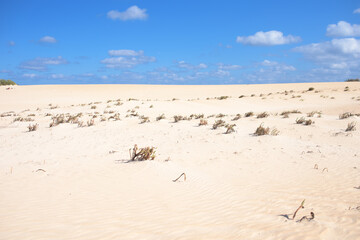 Golden sand in the dune, background of sand in the desert