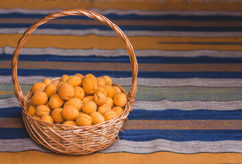 Ripe apricots in a wicker basket on a yellow and blue rug copy space. Harvest of summer fruits.