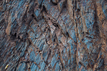 background of rust of breeds