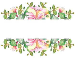 Watercolor hand painted nature floral banner with pink honeysuckle flowers and green eucalyptus leaves on branch on the white background for invite and greeting card with the space for text