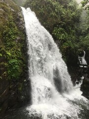Chutes d'eau Costa Rica