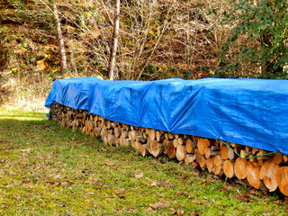 Pile of acacia, chestnut and oak logs in a woodland clearing and covered in tarpaulin to keep them dry - obrazy, fototapety, plakaty