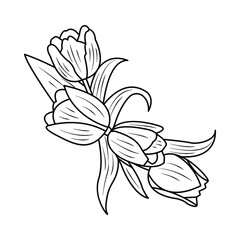 flower summer design decorative graphic decor