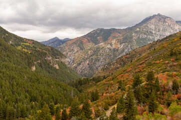 Scenic LAndscape in the Utah Mountains in Autumn