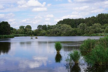 Gr&uuml;ne, idyllische Seenlandschaft in Berlin (Karower Teiche)