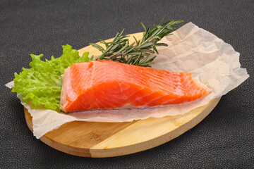 Piece of raw salmon