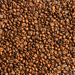 coffee beans background