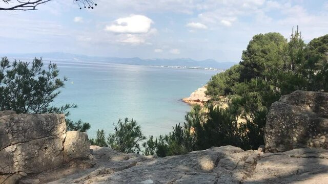 Salou, Spain, A tree in front of a large rock