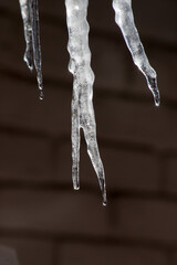 Naklejka na ściany i meble icicle outdoors dripping water
