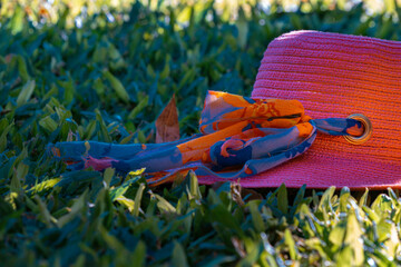 Pink hat on green grass, hat in the garden