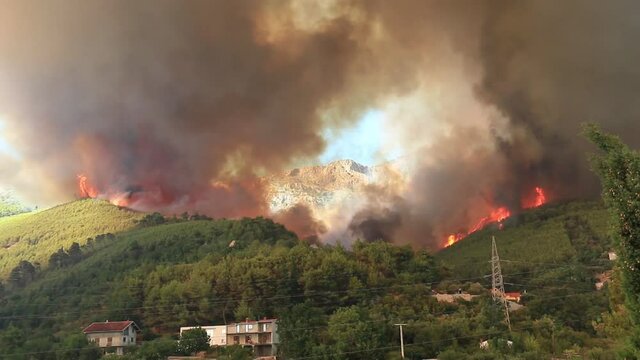 Massive forest fire coming to houses