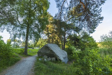 Beautiful big rock of strange natural form near path in forest. Big tall trees and blue sky on...