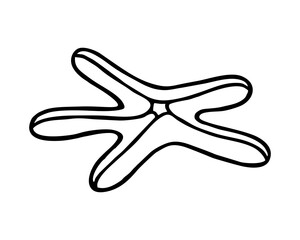 ISOLATED STARFISH ON A WHITE BACKGROUND IN A VECTOR