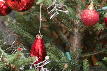 Xmas bauble on tree