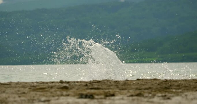 Brown bears on the Kuril Lake in Kamchatka in Russia. Kamchatka Peninsula.