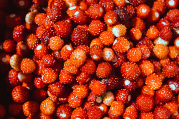 Red ripe healthy fresh delicious juicy berries strawberries in the forest