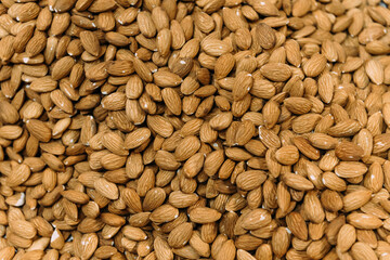 Apricot kernels at the roasting plant