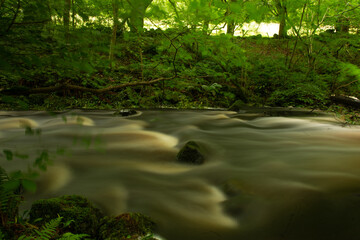 River rapid runs through Glenariff Forest Park, Causeway Coast, Northern Ireland
