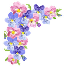Pansies in a bouquet. corner of viola flowers in pink and blue. Watercolor image on a white background.