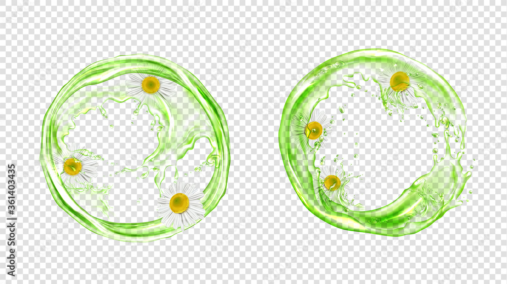 Poster circle splash of green tea with chamomile isolated on transparent background. vector realistic set o