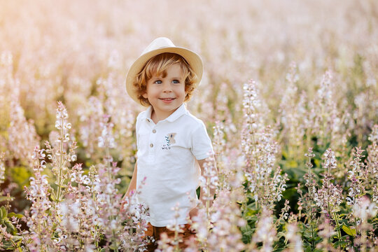 Happy little boy with blonde curly hair in pink sage field smiling, sunny day, outdoors. Child running on meadow in summer in nature. Kid with straw hat playing in wild flowers field at sunset.