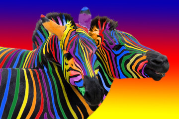 Two colorful zebra painted in the colors of the rainbow, cuddling on a colorful bright background.