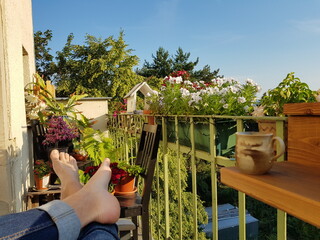 Relaxing on a blooming balcony in summer