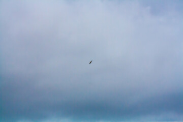Obraz premium flight over the clouds