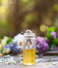 glass bottle with essential oil with fresh ingredient on the wood table
