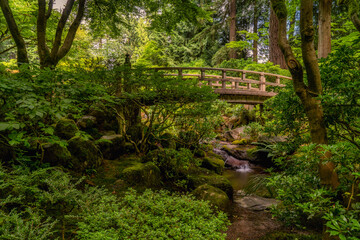 Bridge Over Pond at the Portland Japanese Garden