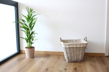 Grüne Zimmerpflanze und geflochtener Korb für Wäsche und Utensilien als Flur Einrichtung im...