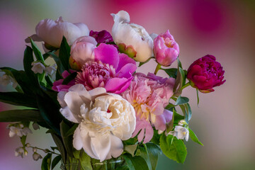 summer bouquet of peonies, roses and jasmine