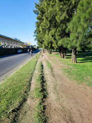 Obraz premium Correr por la mañana al aire libre en el parque sarmiento un día por la mañana