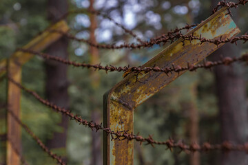 Stacheldrahtzaun Nahaufnahme