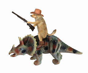 The beige dog warrior in boots and a cowboy hat with a rifle and a backpack is riding a war triceratops. White background. Isolated.