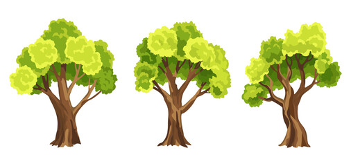 Trees with green leafage. Set of abstract stylized trees. Natural illustration