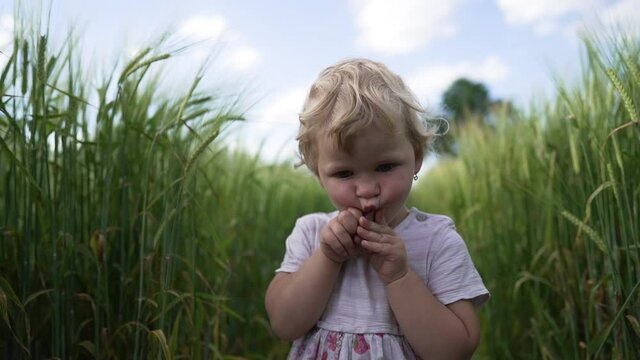Baby girl walking in wheet