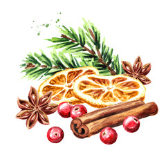 Christmas spices dried orange slices, star anise and cinnamon stick, cranberries and fir branch. Hand drawn watercolor illustration, isolated on white background