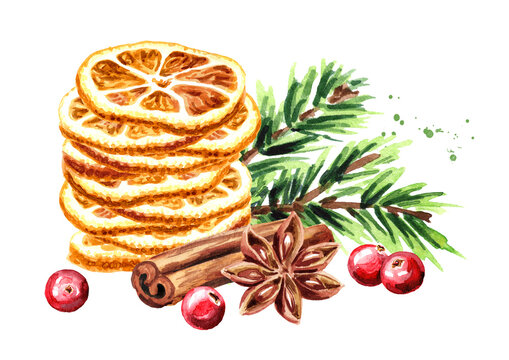 Christmas spices dried orange slices, star anise and cinnamon stick, cranberries, fir branch