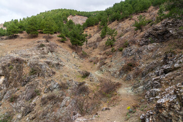 Rocky mountain road used by goats